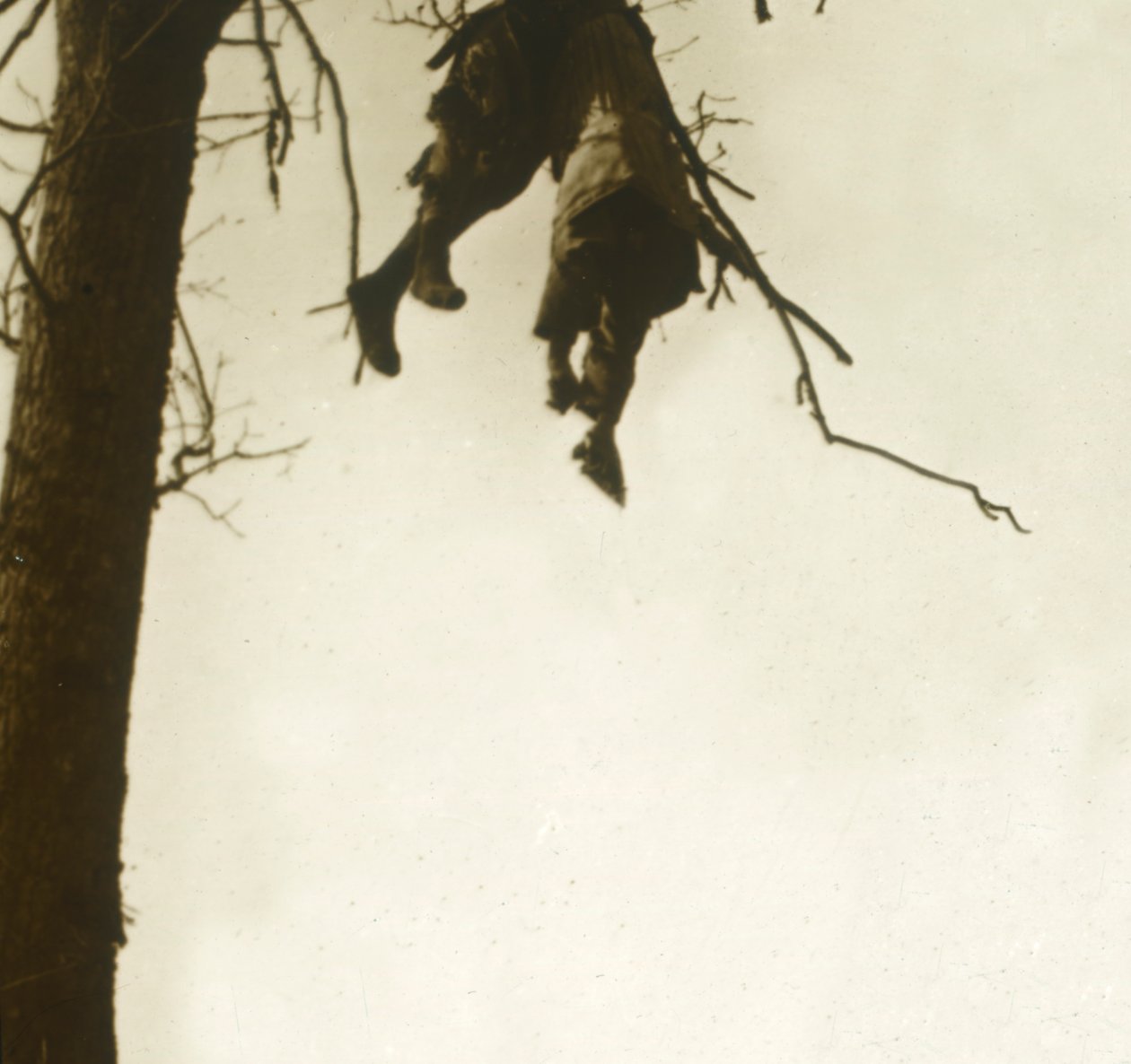 Test a fában, Bois dAvocourt, Verdun, Észak-Franciaország, c1914-c1918. alkotó: Unbekannt