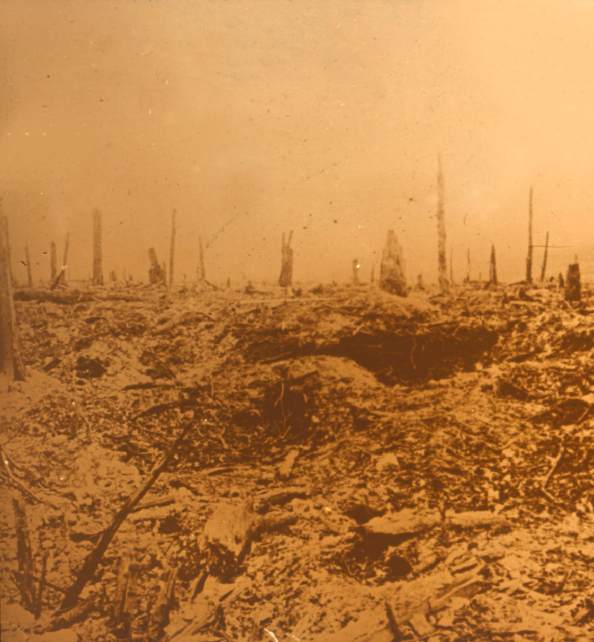 Bois du Chapitre, Vaux, Észak-Franciaország, 1914-c1918 alkotó: Unbekannt