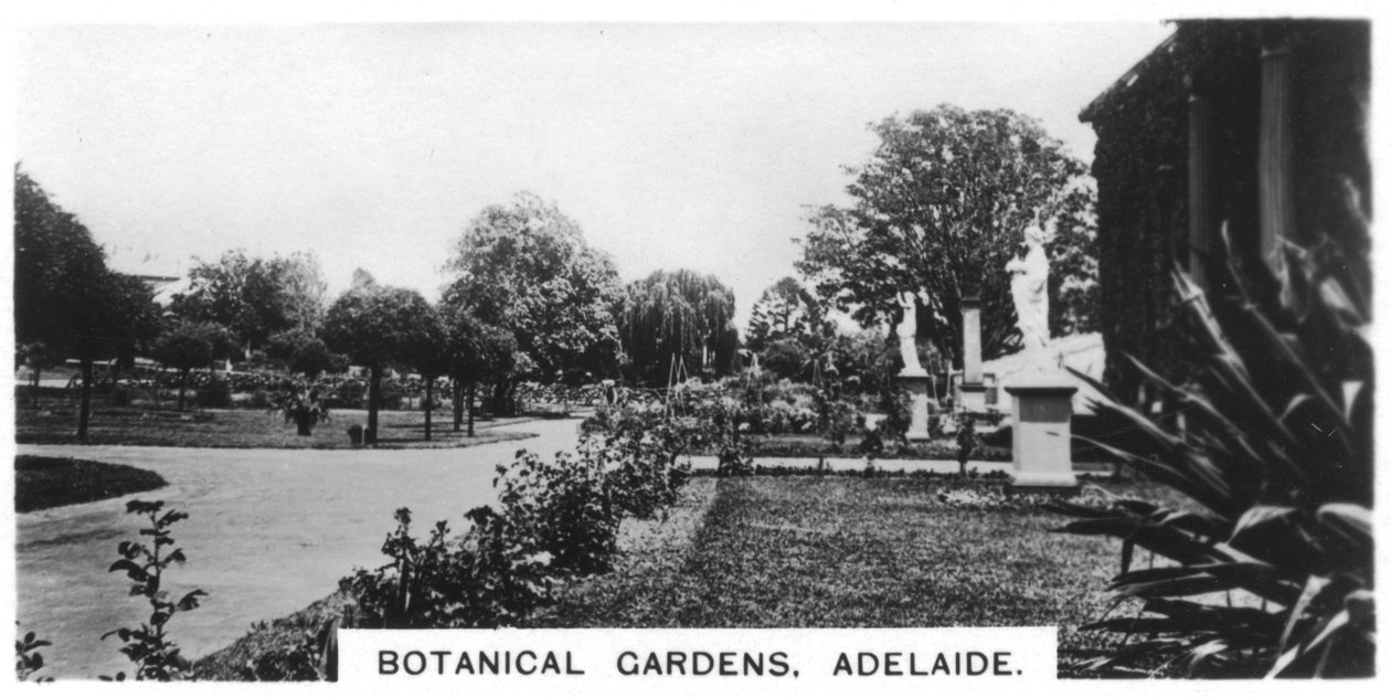 Botanikus kert, Adelaide, Ausztrália, 1928 alkotó: Unbekannt
