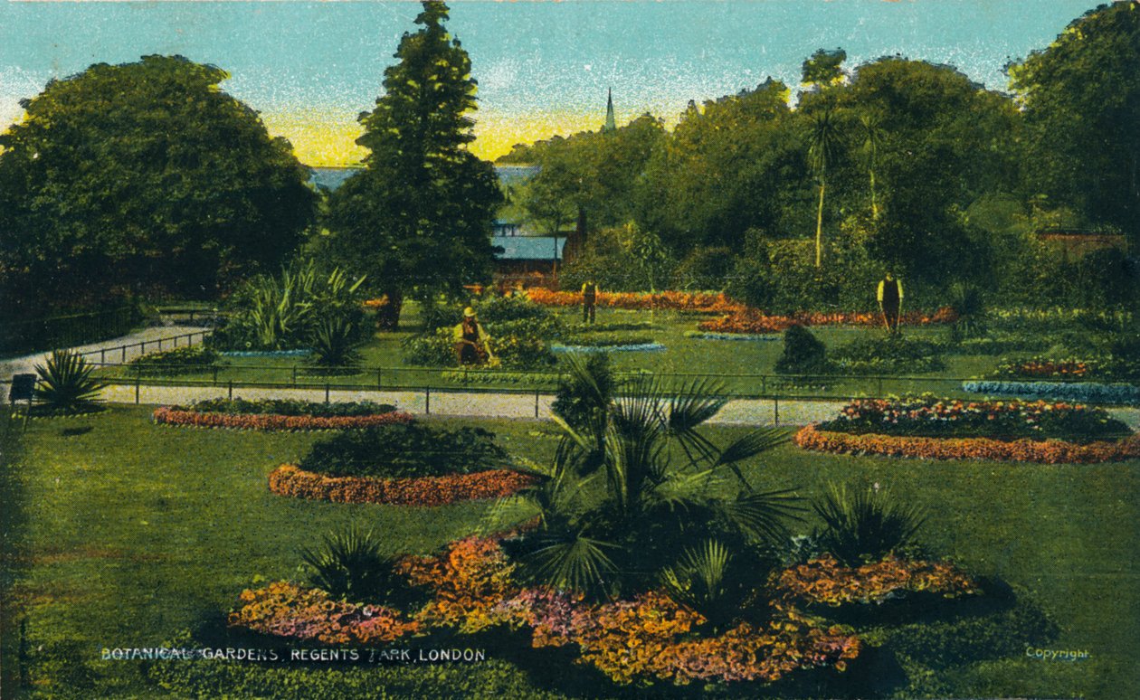 Botanikus kert, Regents Park, London, 1910 alkotó: Unbekannt