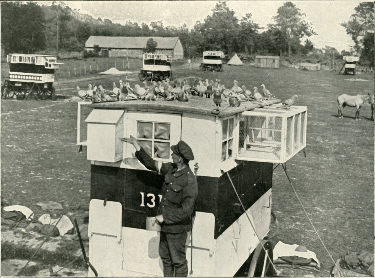 Brit hadsereg szállítógalambjai Franciaországban: Lóvontatású loftok, 1919. alkotó: Unbekannt