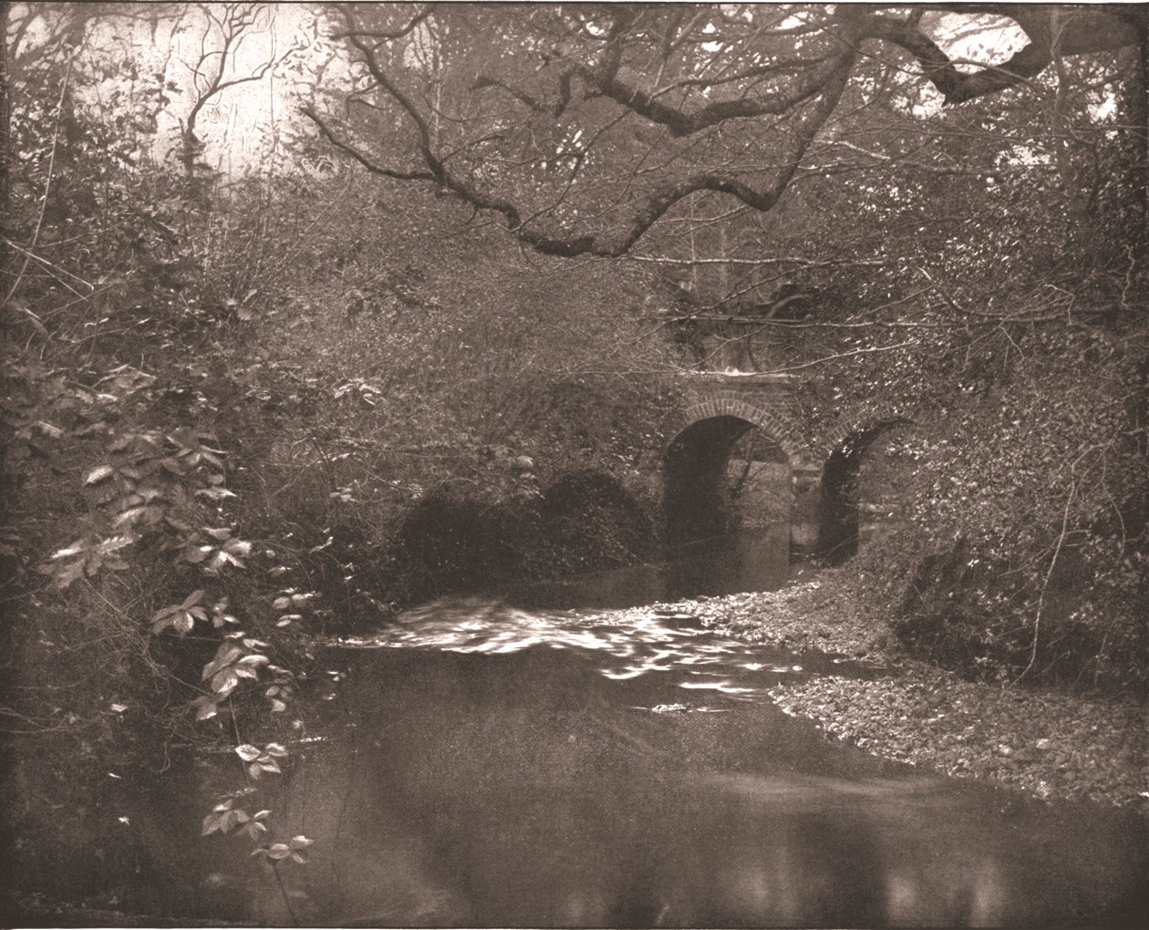 Brook and Bridge in the New Forest, Hampshire, 1894. alkotó: Unbekannt