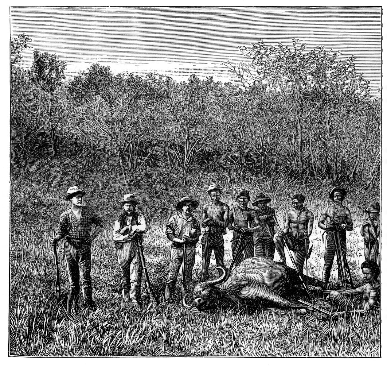 Bivalyvadászok a Transvaalban, Dél-Afrika, 1890 alkotó: Unbekannt