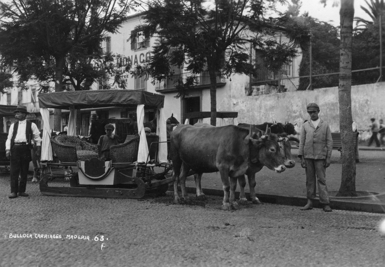 Bullock kocsi, Madeira, Portugália, 1920-c1930-as évek alkotó: Unbekannt