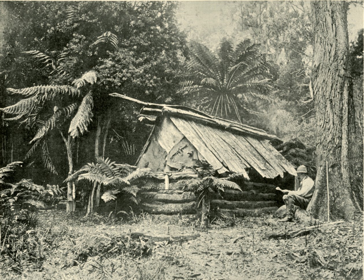 Bush Hut, Dandenong Ranges, Victoria, 1901. alkotó: Unbekannt