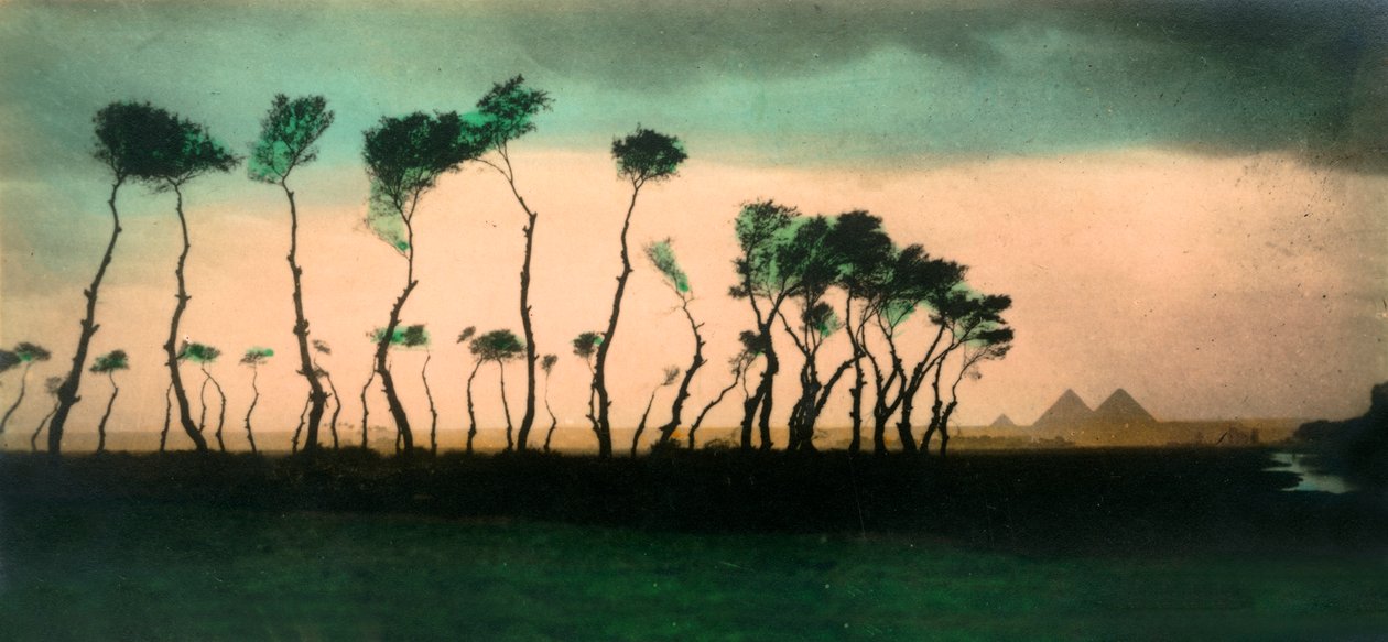 Kairó: A piramisok, c1918-c1939. alkotó: Unbekannt