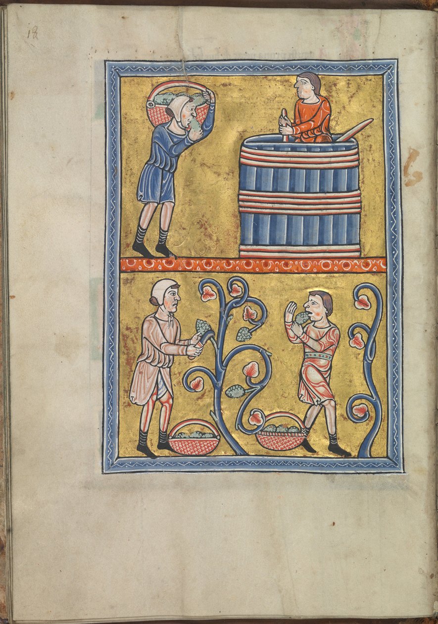 Naptár, szeptember, szőlőt szedő és taposó férfiak - Akvitániai Eleanor zsoltára (kb. 1185) - KB 76 F 13, fólium 009v alkotó: Unbekannt