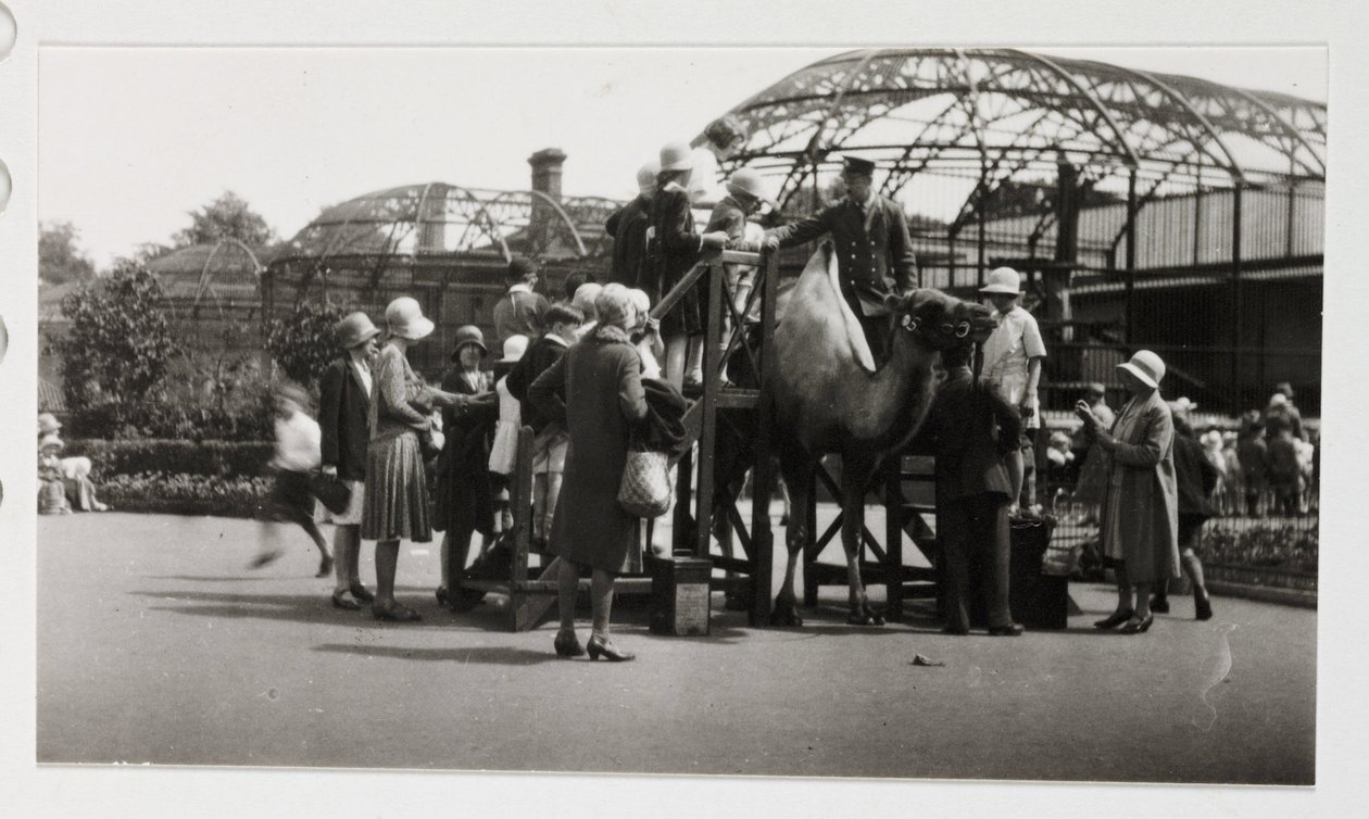 Tevejárás, 1930 körül alkotó: Unbekannt