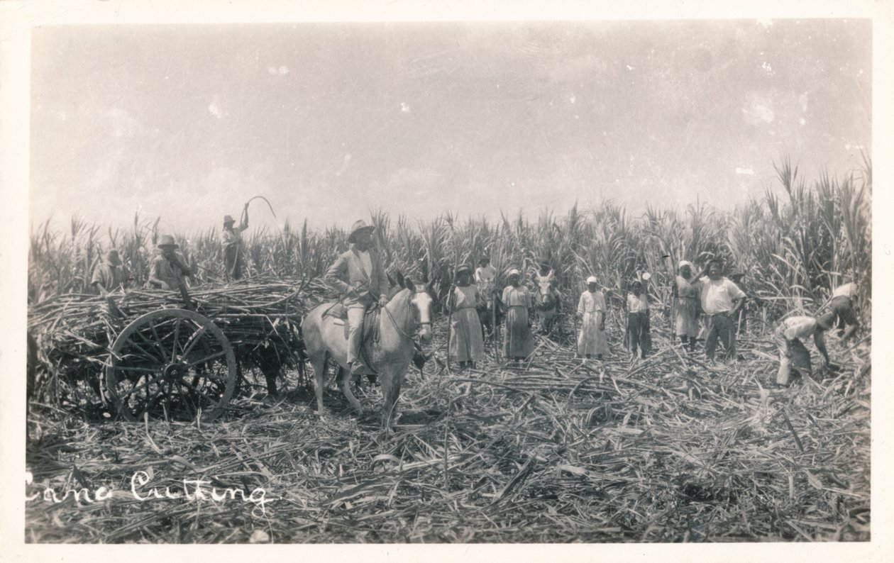 nádvágás, 1930 alkotó: Unbekannt
