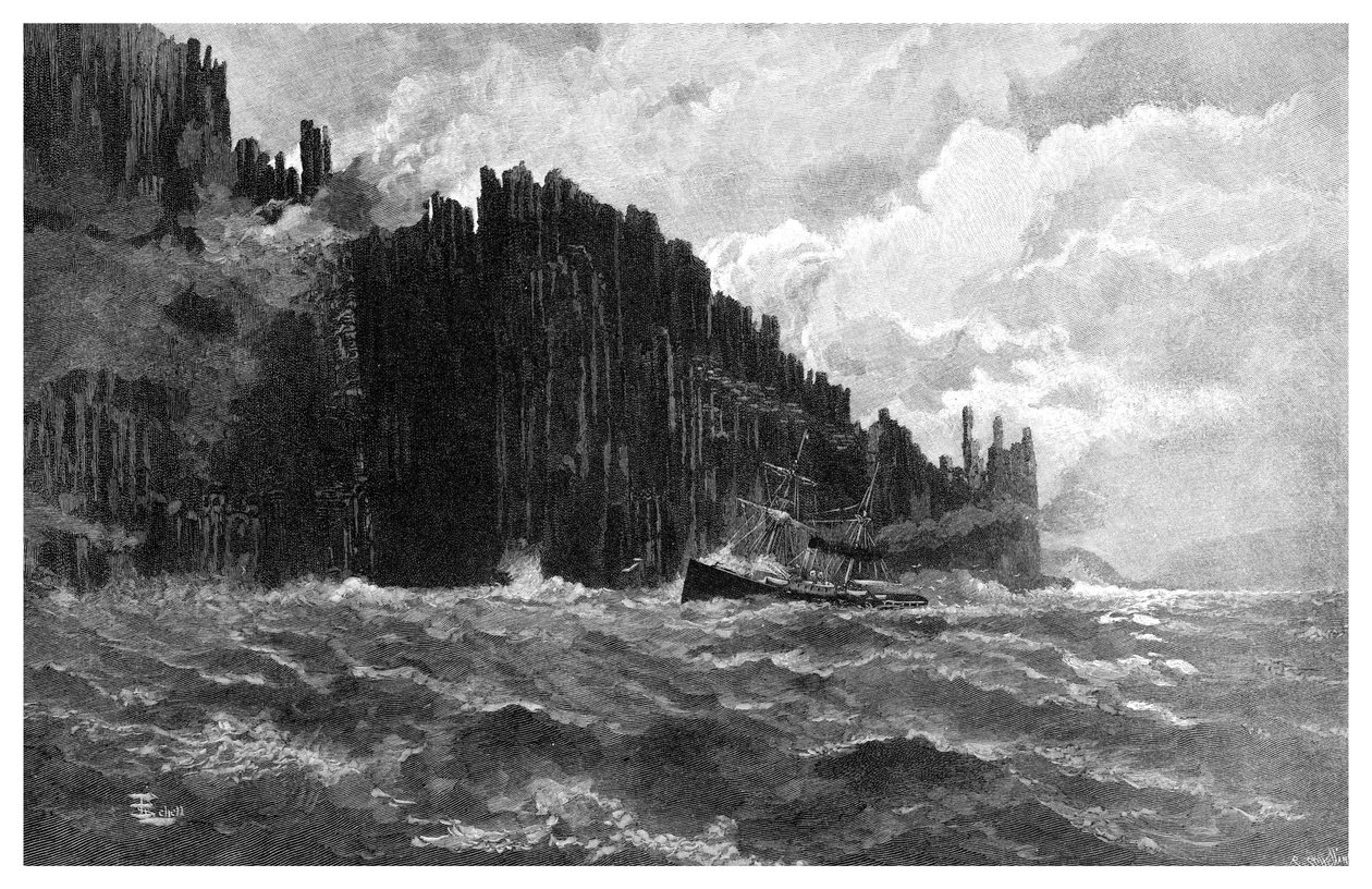 Raoul-fok, Tasmania, Ausztrália, 1886 alkotó: Unbekannt