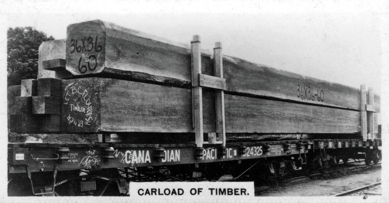 Carload Douglas fenyő, Kanada, 1920-as évek alkotó: Unbekannt