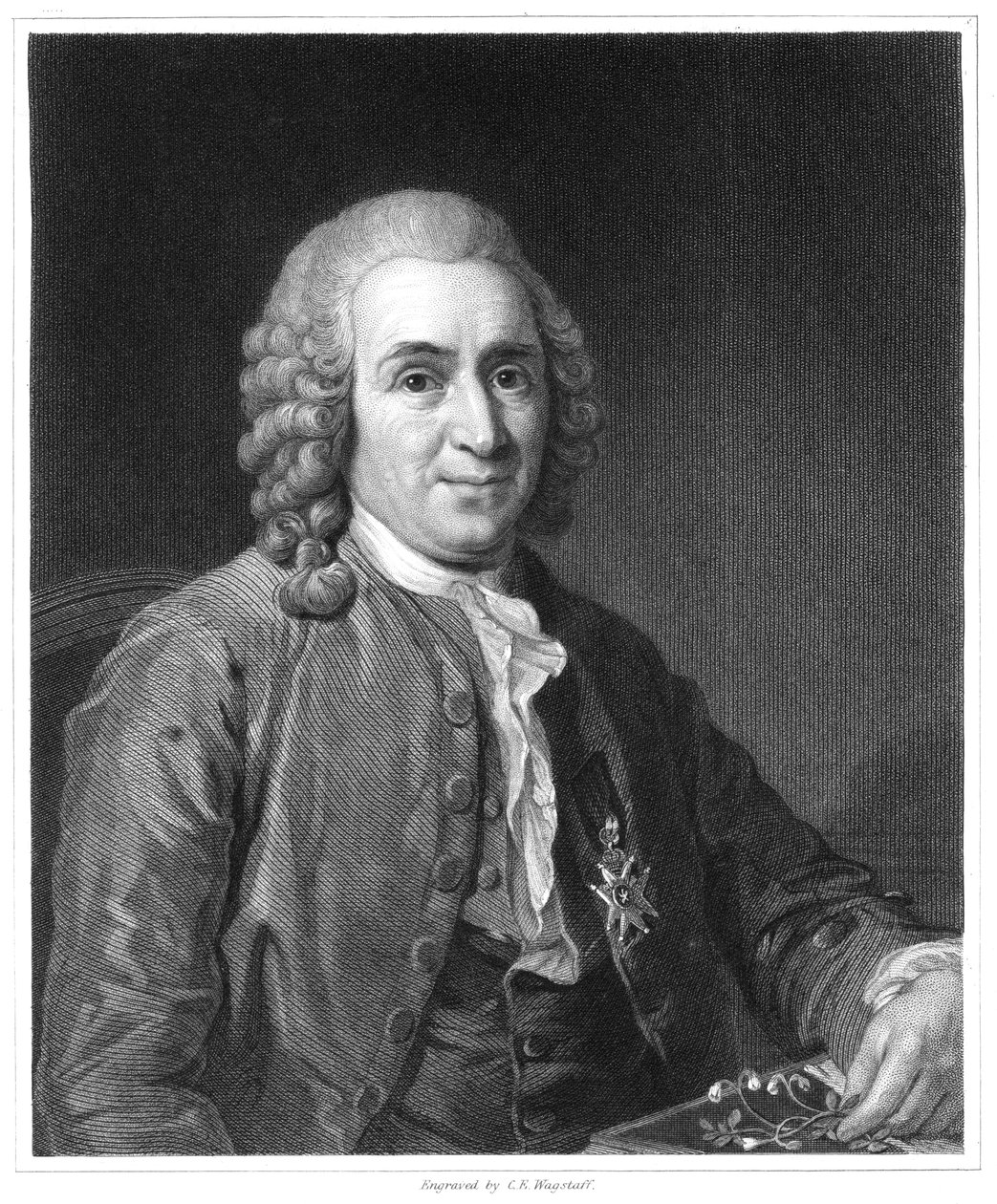 Carolus Linnaeus, 18. századi svéd természettudós, 1835 alkotó: Unbekannt