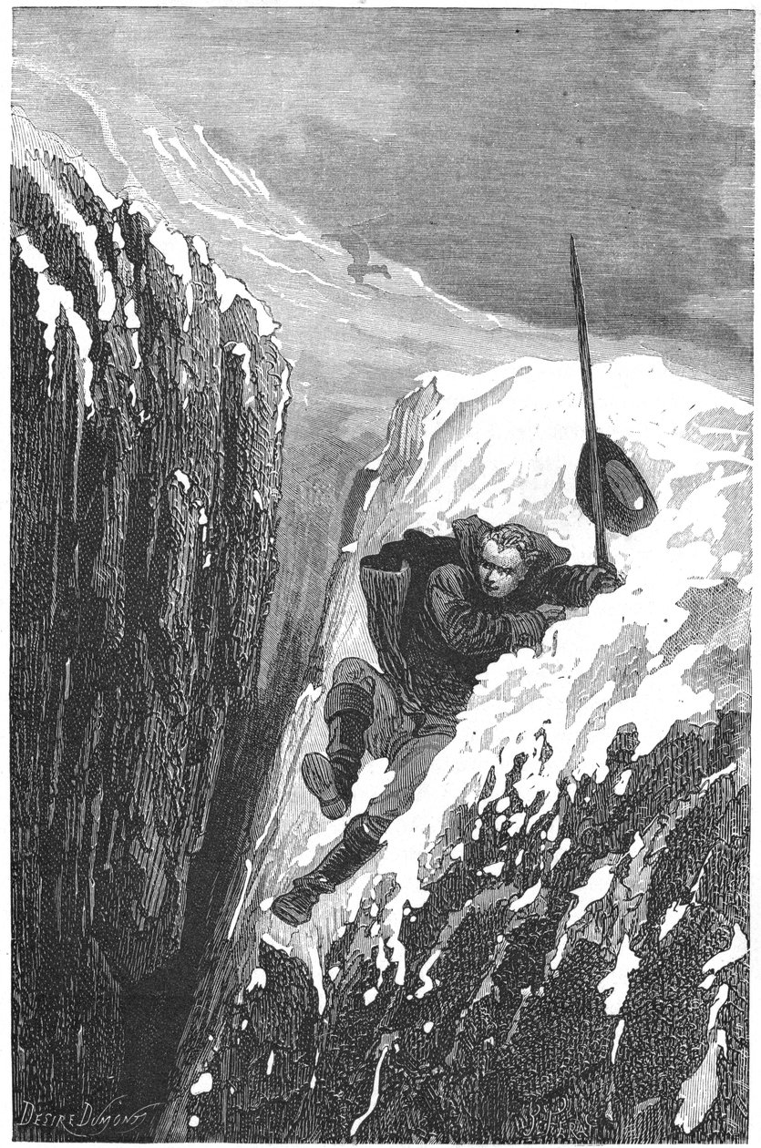 Carolus Linnaeus, 18. századi svéd tudós és természettudós, 1874 alkotó: Unbekannt