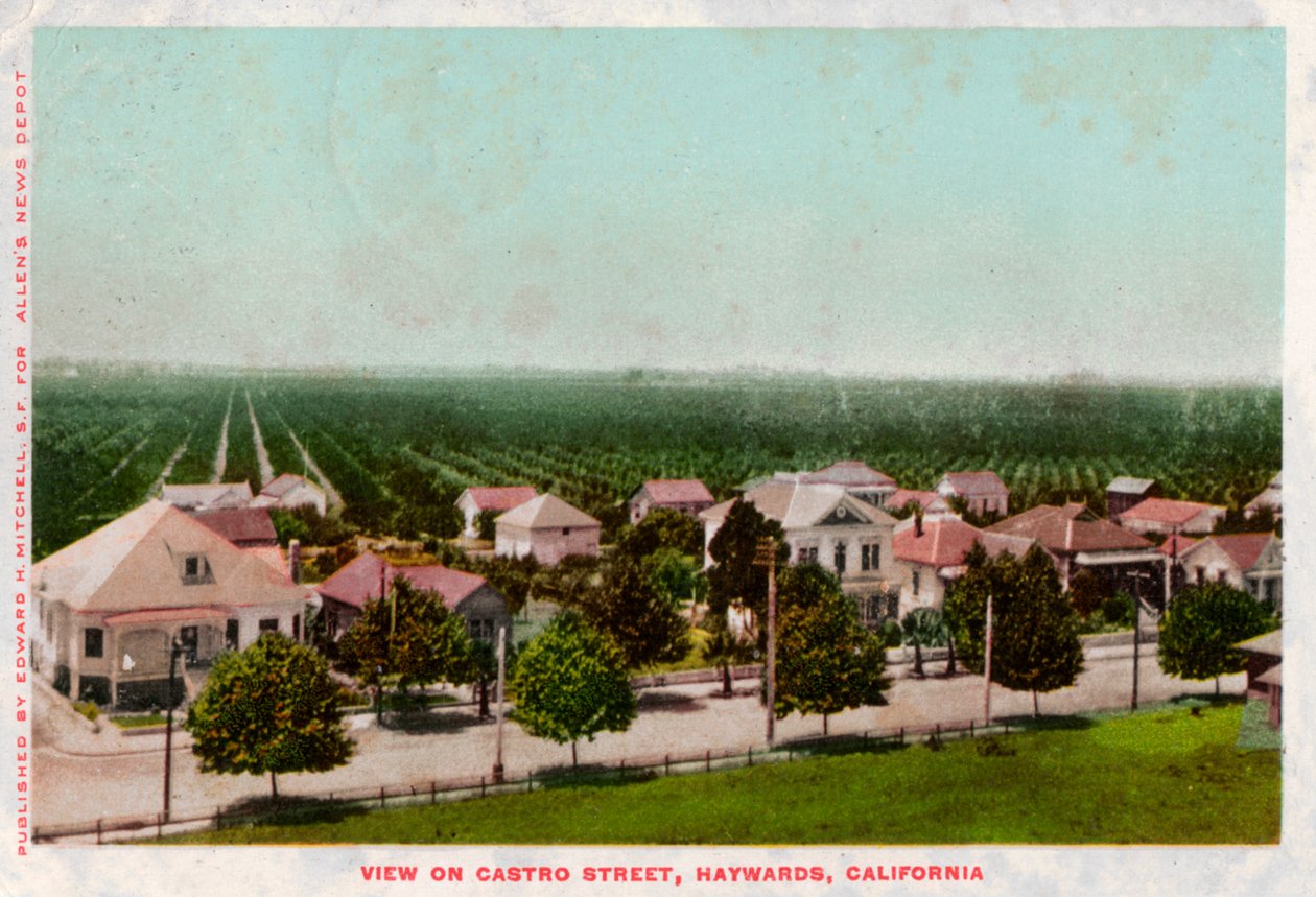 Castro Street, Hayward, Kalifornia, 1905 alkotó: Unbekannt