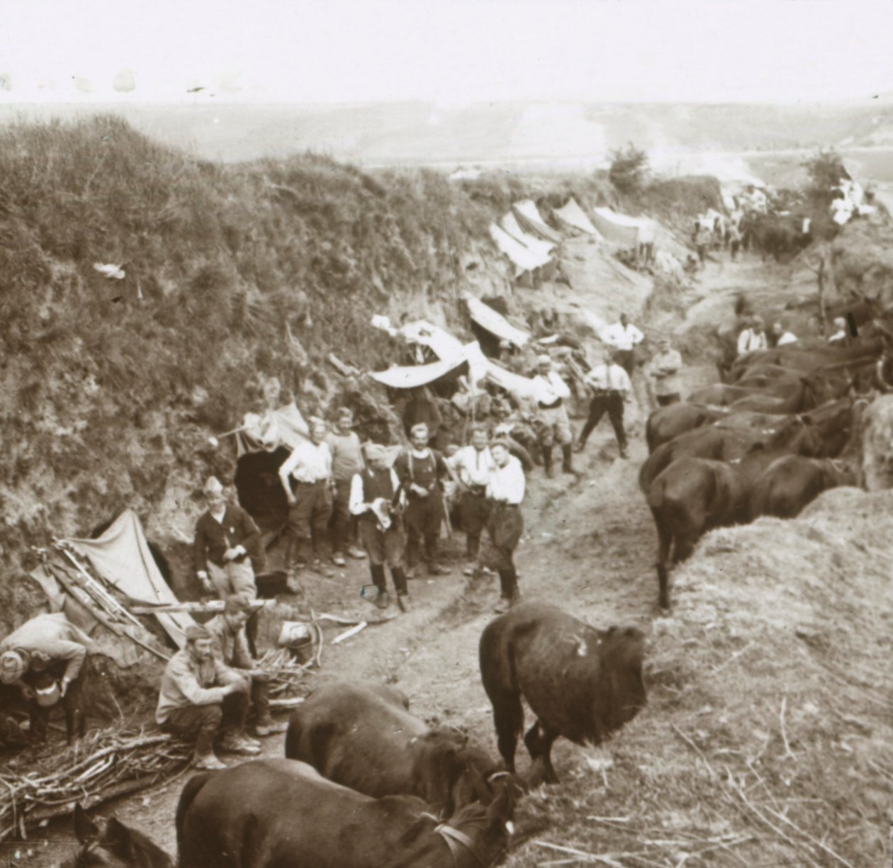 Lovasság, c1914-c1918 alkotó: Unbekannt