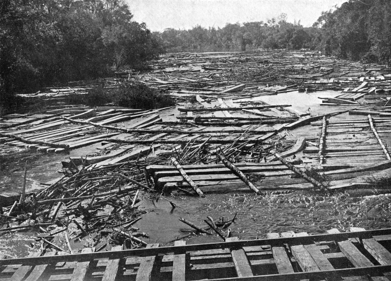 Cédrus rönkök a Tebicuary-Guazu folyón a vasúti híd mellett, Paraguay, 1911 alkotó: Unbekannt