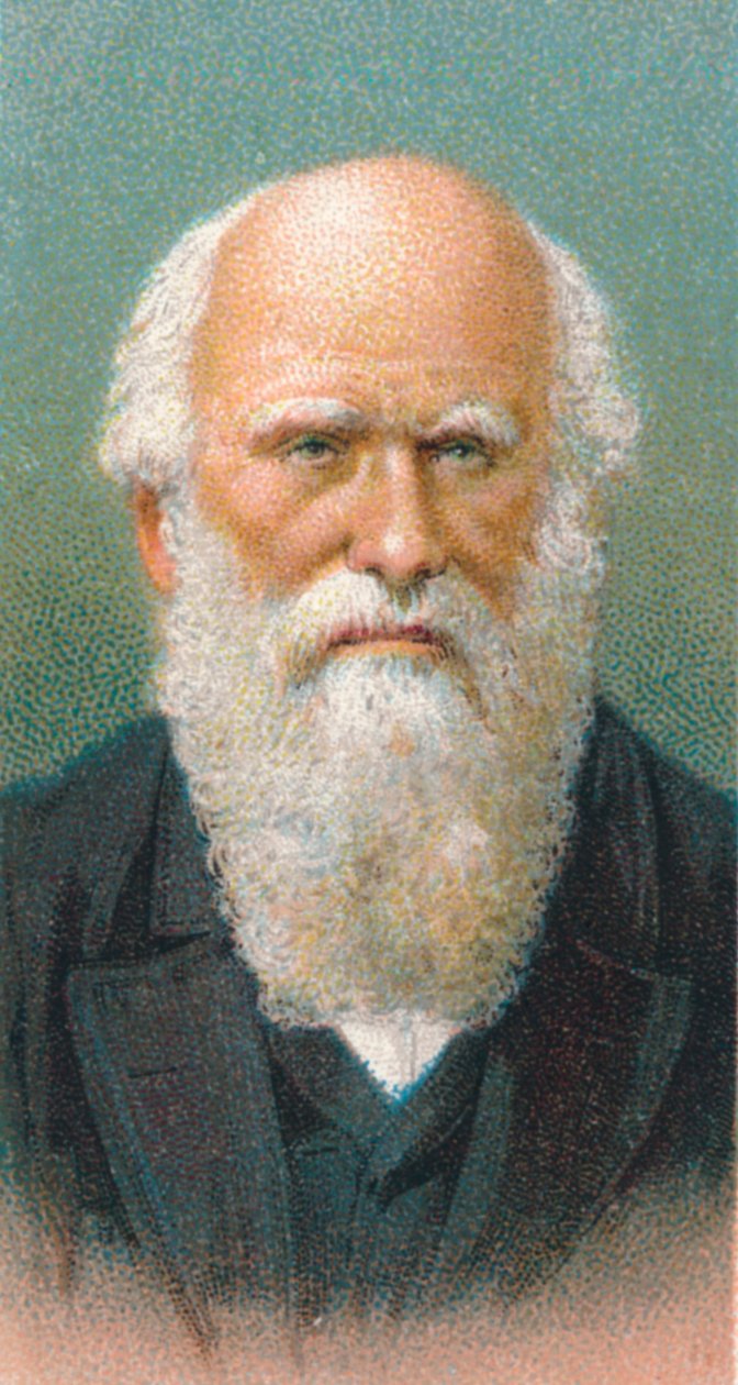 Charles Darwin 1809-1882, brit természettudós, 1924 alkotó: Unbekannt
