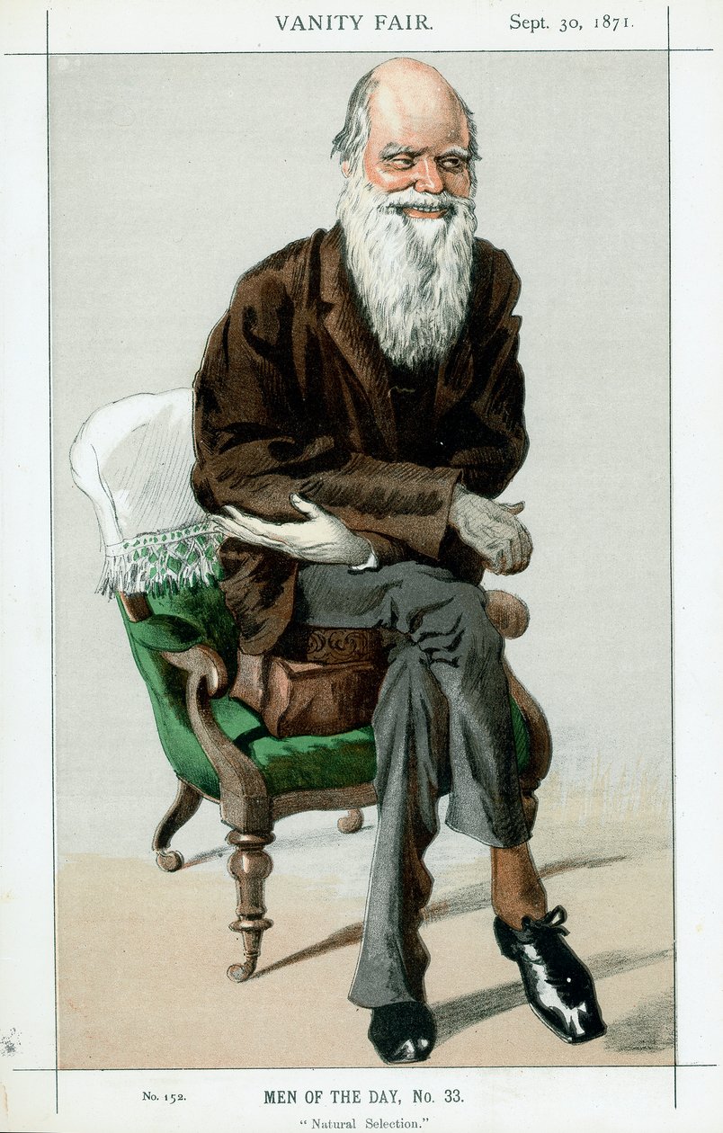 Charles Darwin angol természettudós, 1871 alkotó: Unbekannt