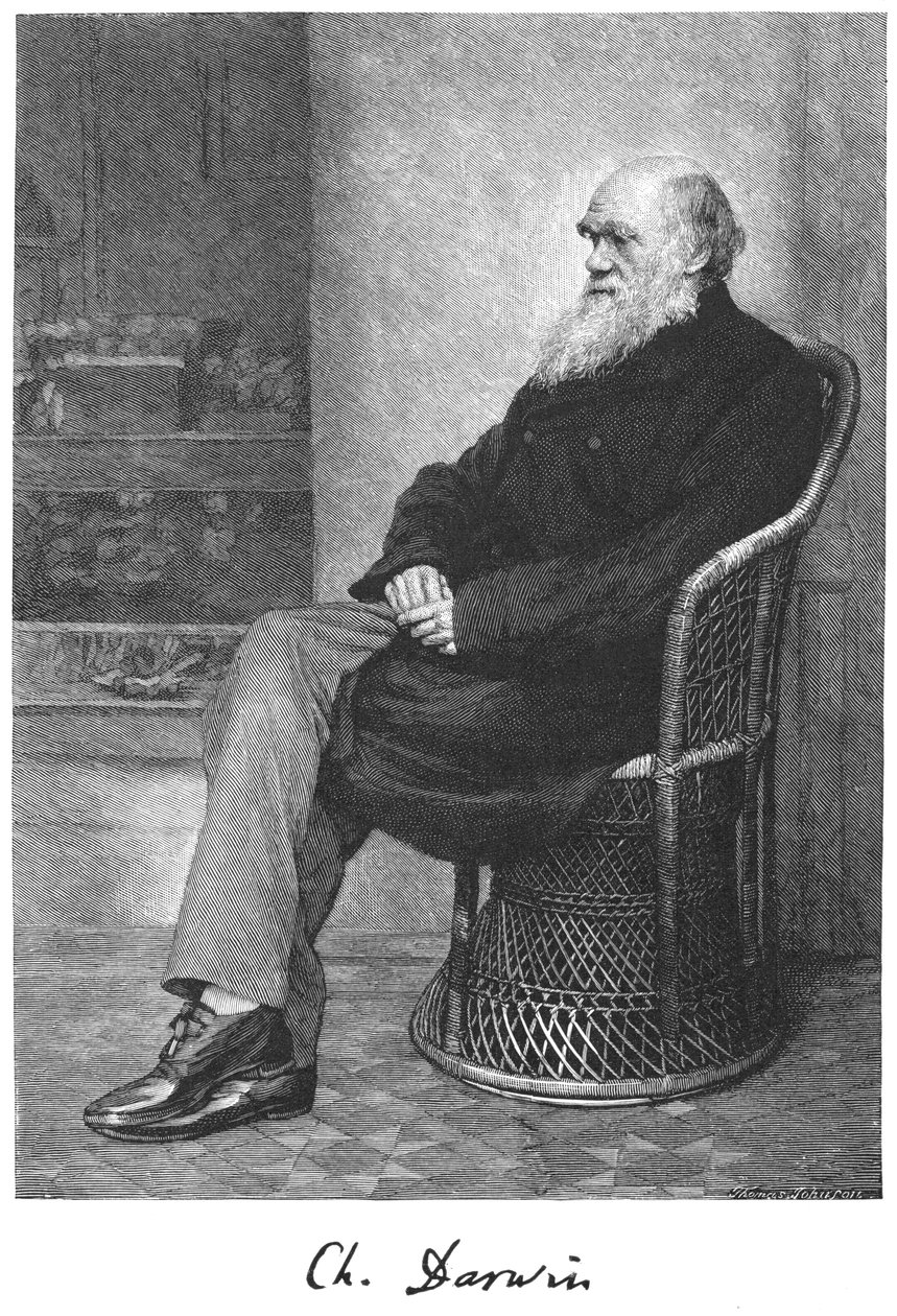 Charles Darwin angol természettudós, 1883 alkotó: Unbekannt