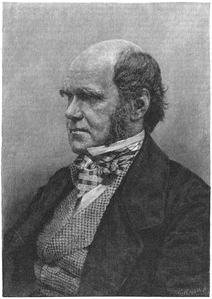 Charles Darwin angol természettudós, 1884 alkotó: Unbekannt
