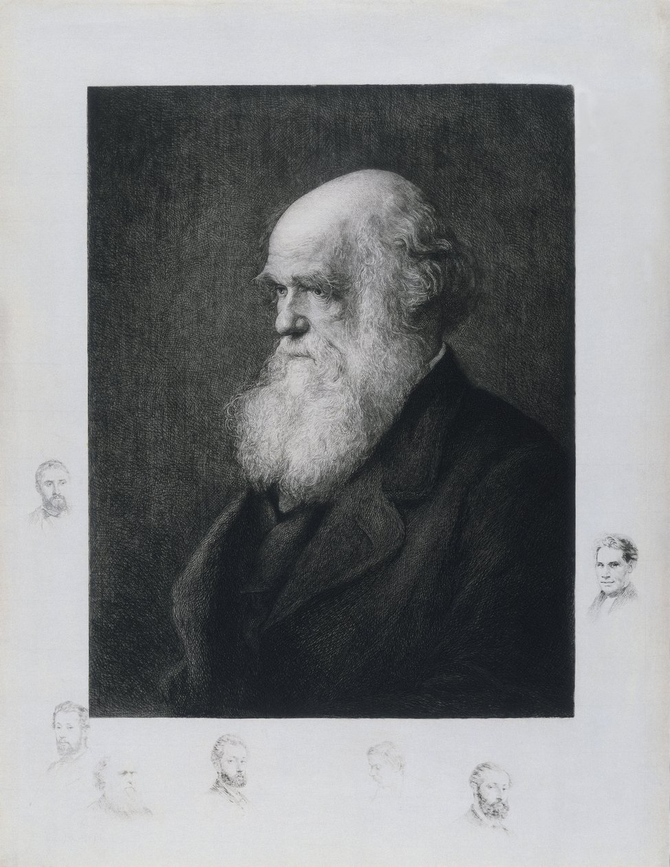 Charles Darwin angol természettudós, 1860-as évek alkotó: Unbekannt