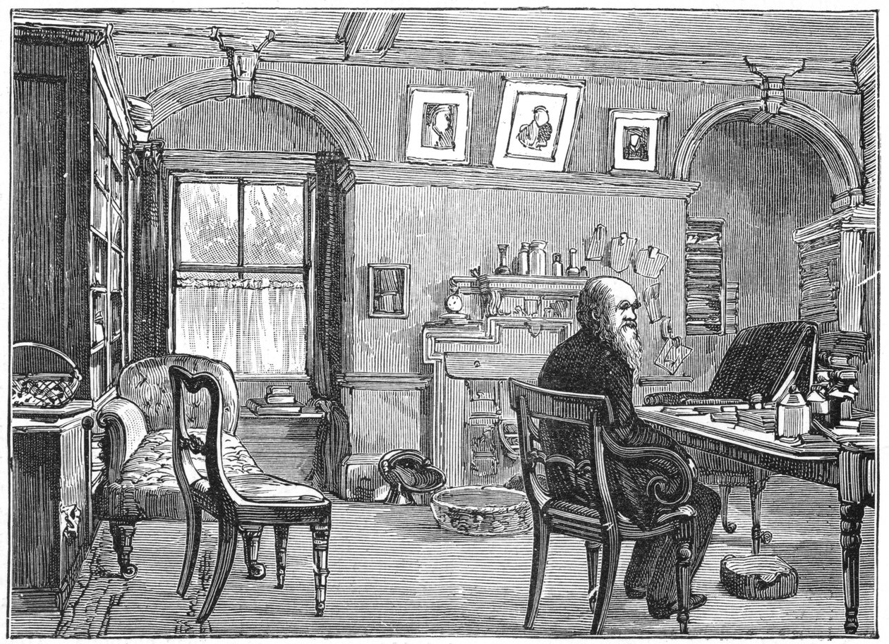 Charles Darwin angol természettudós tanulmányában, c1870 1887 alkotó: Unbekannt