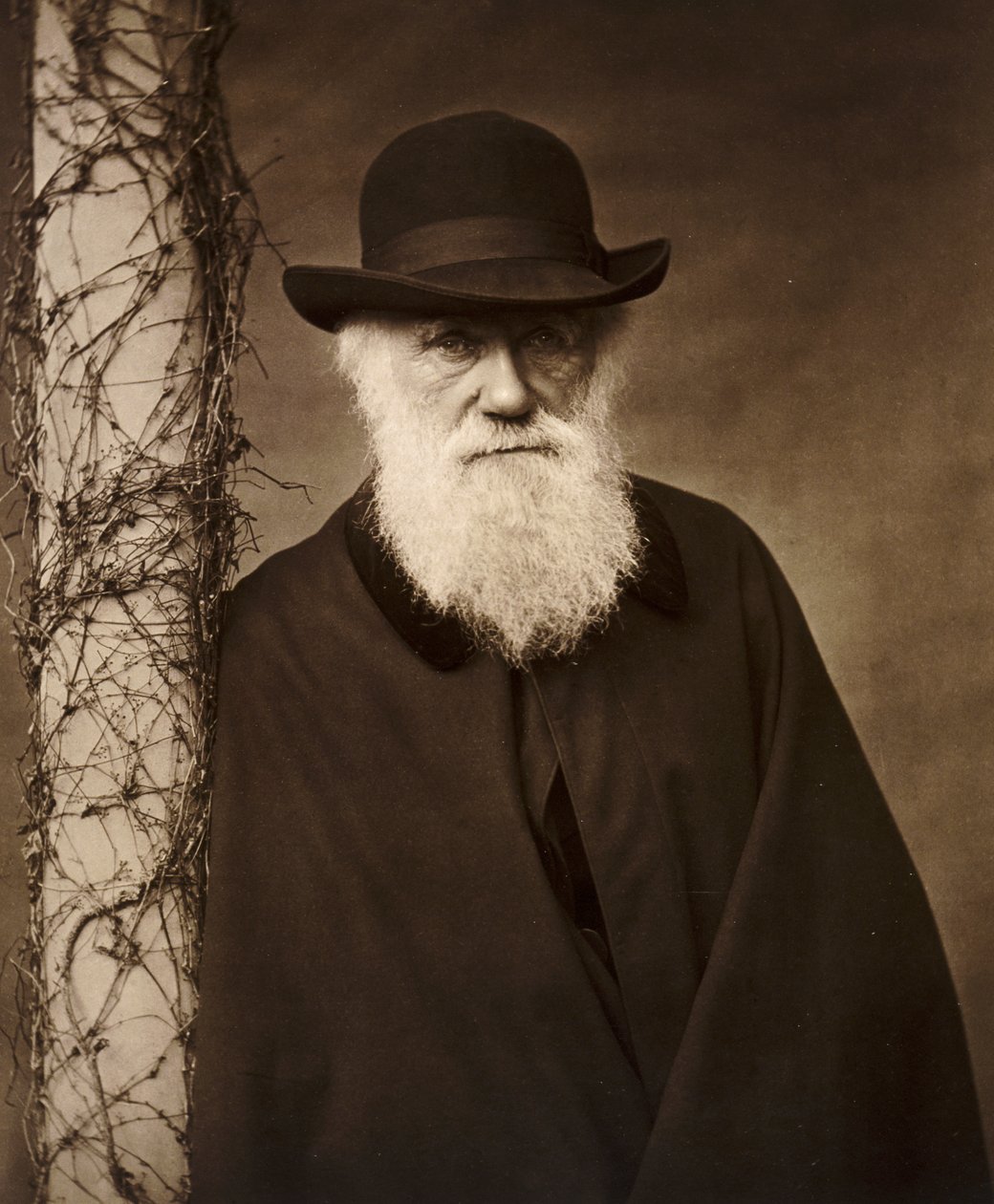 Charles Darwin otthonában, Down House-ban, Kentben, 1880 alkotó: Unbekannt