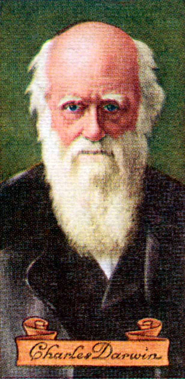 Charles Darwin, egy sor cigarettakártya, 1935 alkotó: Unbekannt