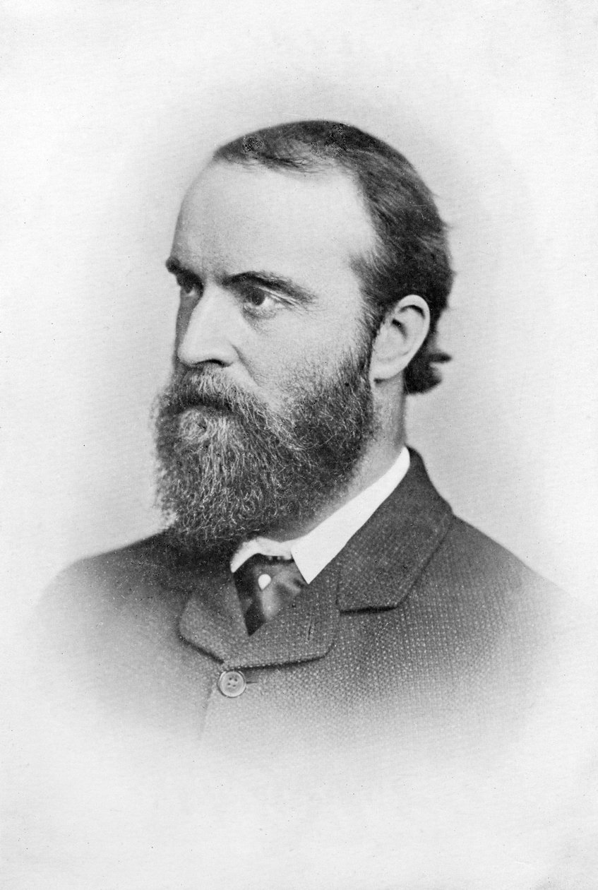Charles Stuart Parnell, 19. századi ír politikus, 1874-1891 alkotó: Unbekannt