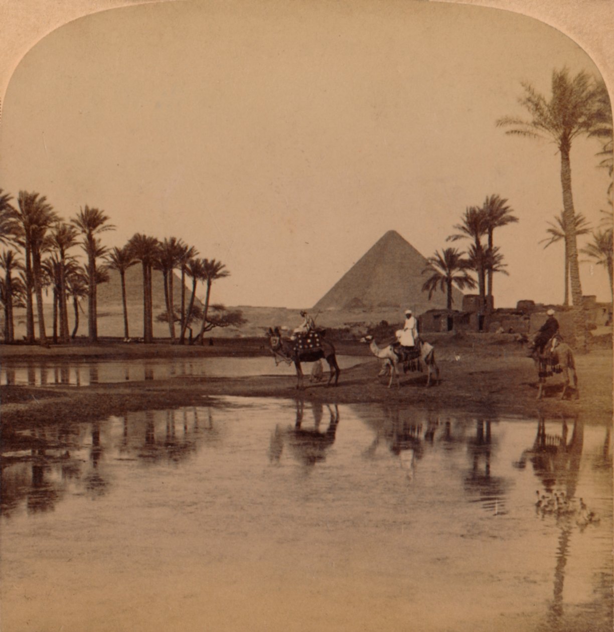 Kheopsz a Nílus termékeny völgyéből, Egyiptom, 1896 alkotó: Unbekannt