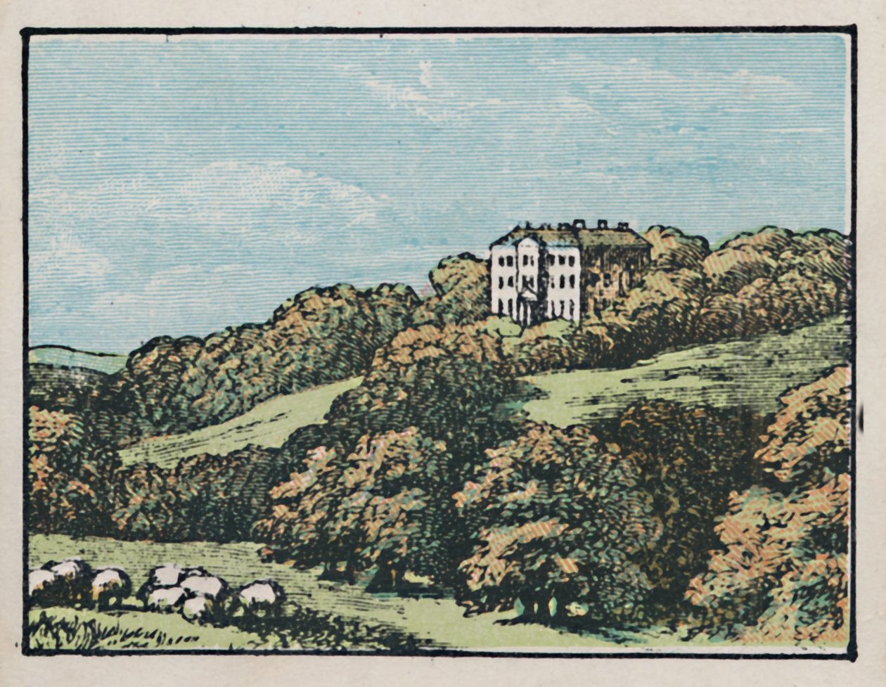 Chesterfield, 1910. alkotó: Unbekannt