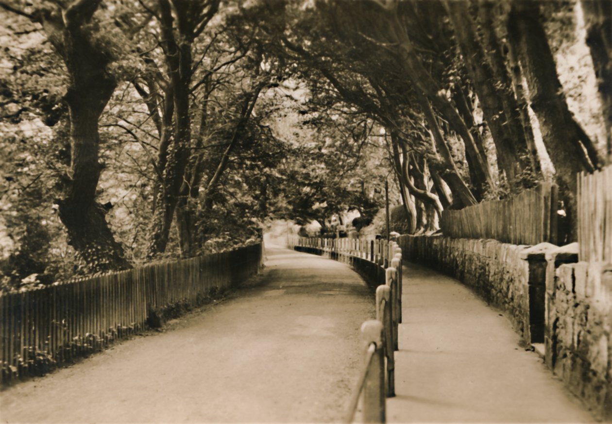 Chine Avenue, Shanklin, I.W., 1920. alkotó: Unbekannt