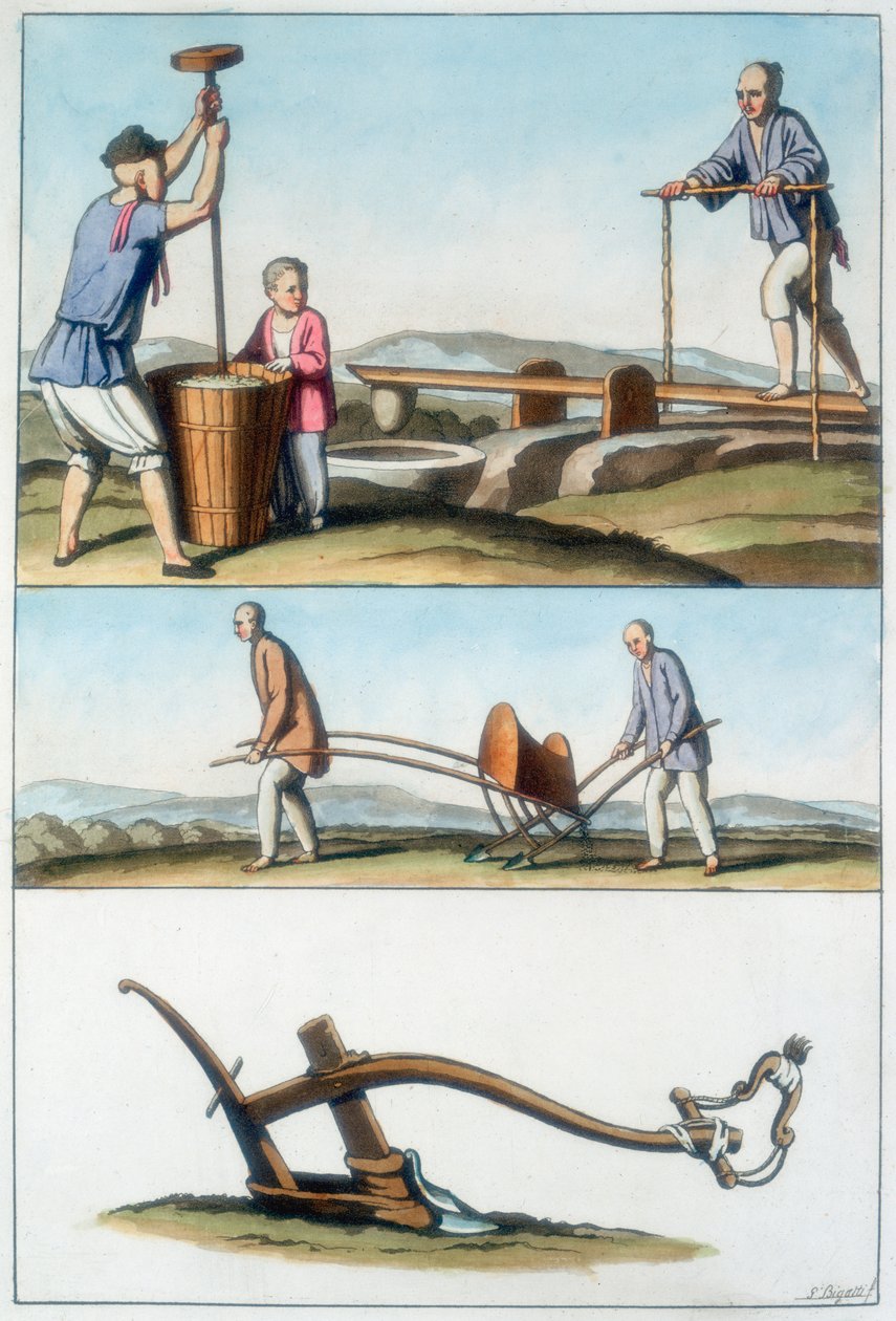 Kínai mezőgazdaság, 1825-1835 alkotó: Unbekannt