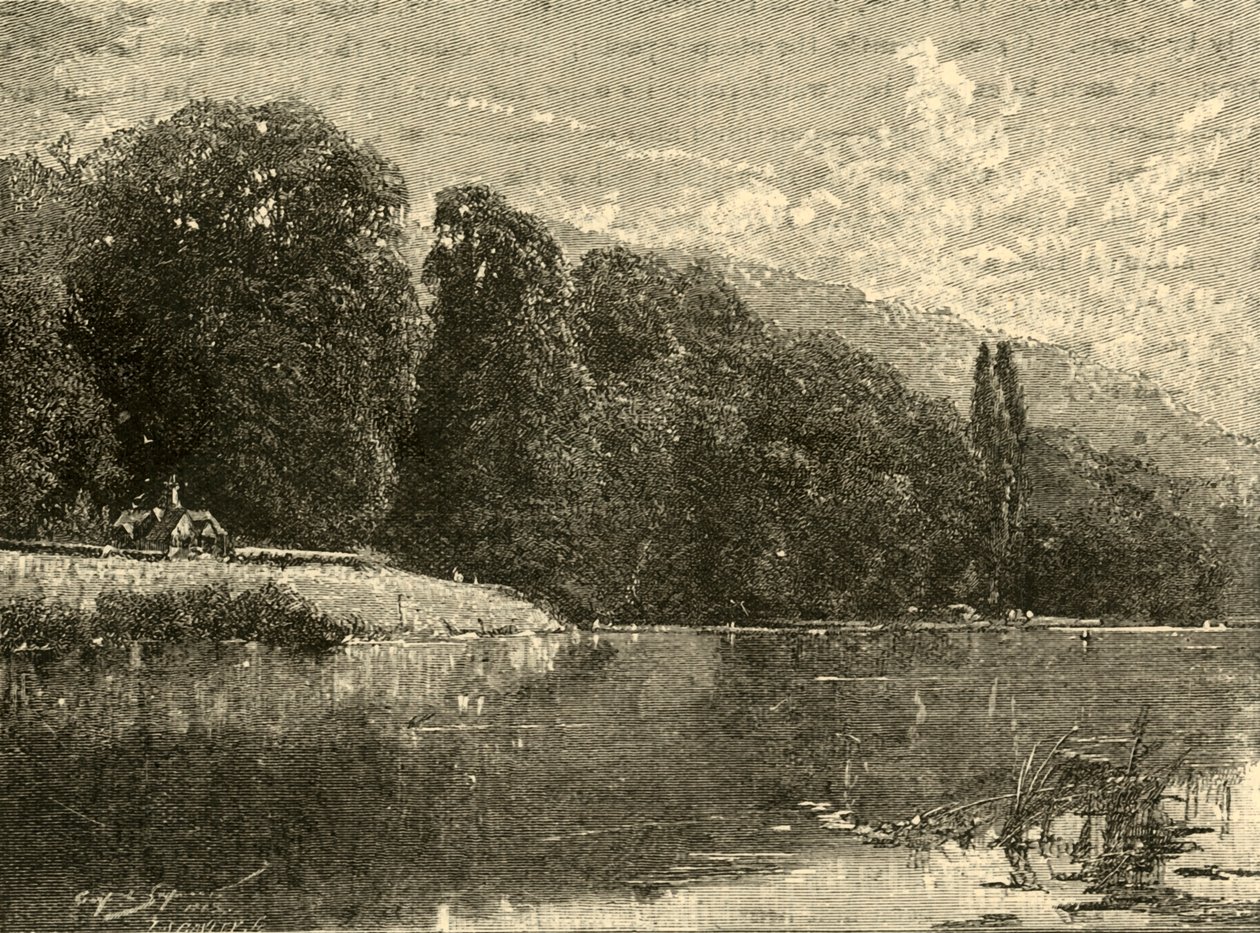 Cliefden Woods, 1898. alkotó: Unbekannt
