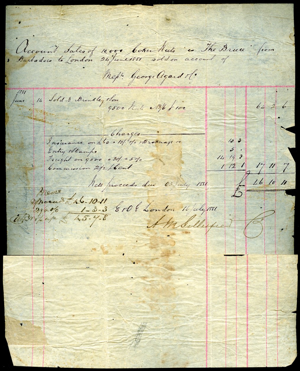 Kókusz eladási nyugta, Barbadostól Londonig, 1881 alkotó: Unbekannt