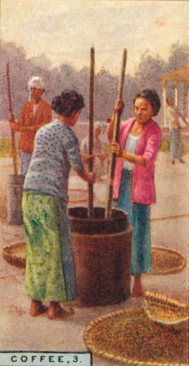 Kávé, 3. A bab héja, Java, 1928 alkotó: Unbekannt