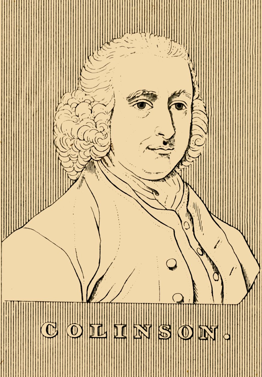 Collinson, 1694-1768, 1830. alkotó: Unbekannt