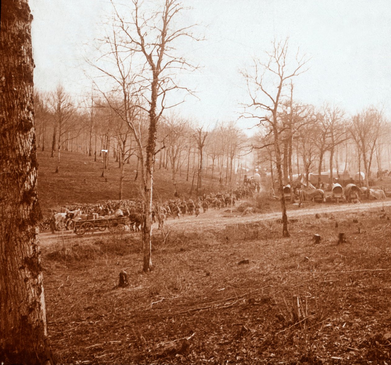 Csapatoszlop, Genicourt, Észak-Franciaország, 1914-c1918 alkotó: Unbekannt