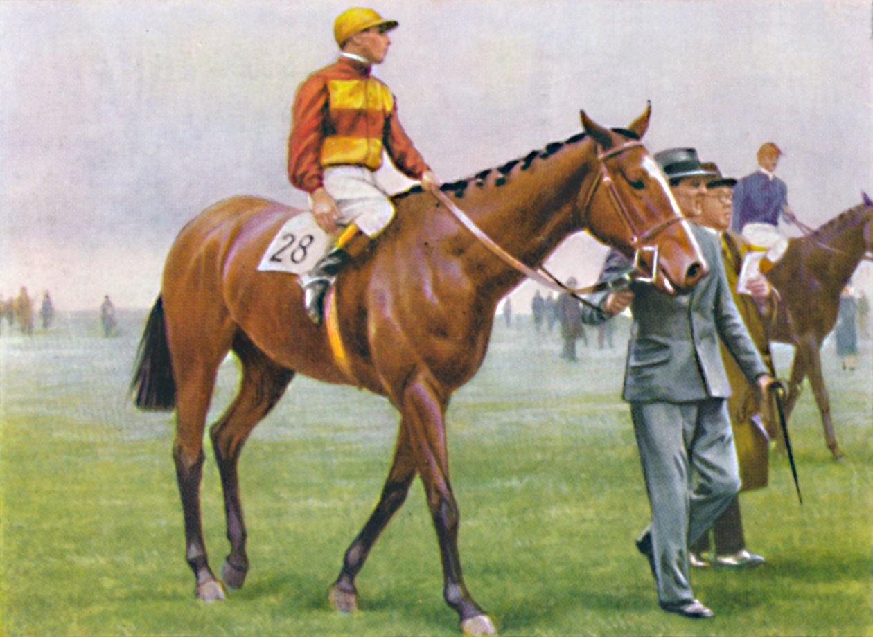 Brace, Jockey: A. Tucker, 1939 alkotó: Unbekannt