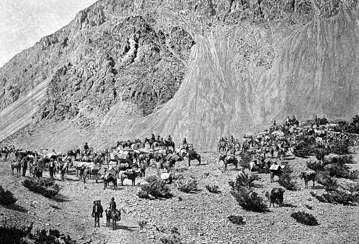 Öszvérkonvoj a Cordillera lábánál, Dél-Amerika, 1895 alkotó: Unbekannt