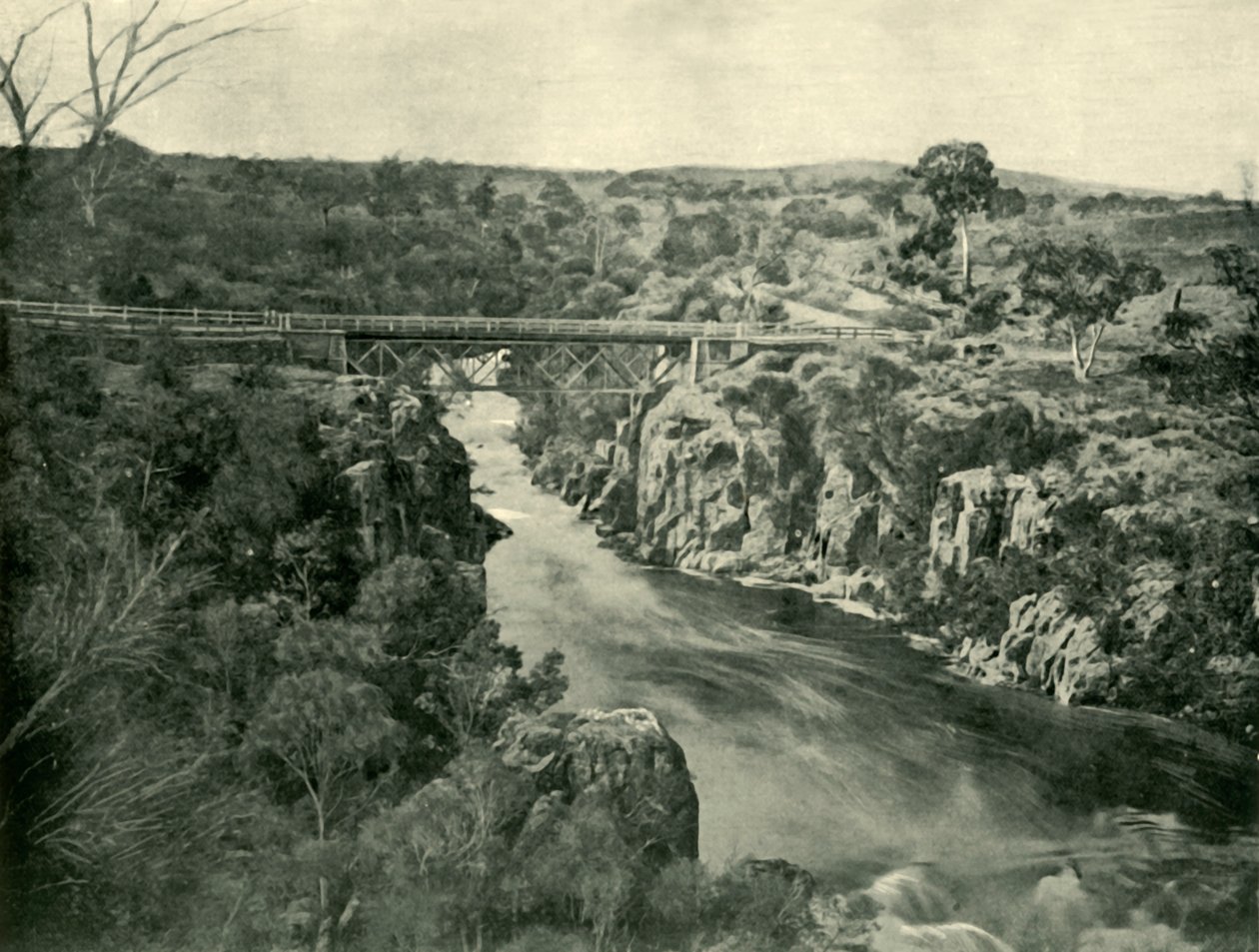 Corra Lynn, Launceston közelében, 1901. alkotó: Unbekannt