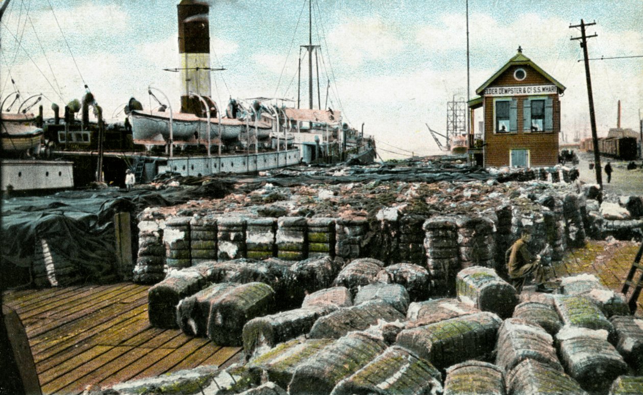 Cotton Wharves, New Orleans, Louisiana, USA, XX. század eleje alkotó: Unbekannt