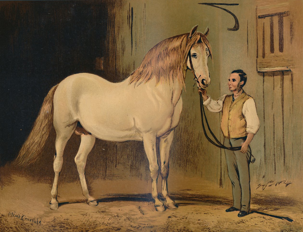 Cream State Carriage Horse. Of Her Majestys Stud, 1879. alkotó: Unbekannt
