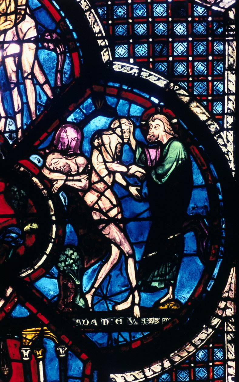 Éva teremtése, ólomüveg, Chartres-i katedrális, Franciaország, 1205-1215 alkotó: Unbekannt