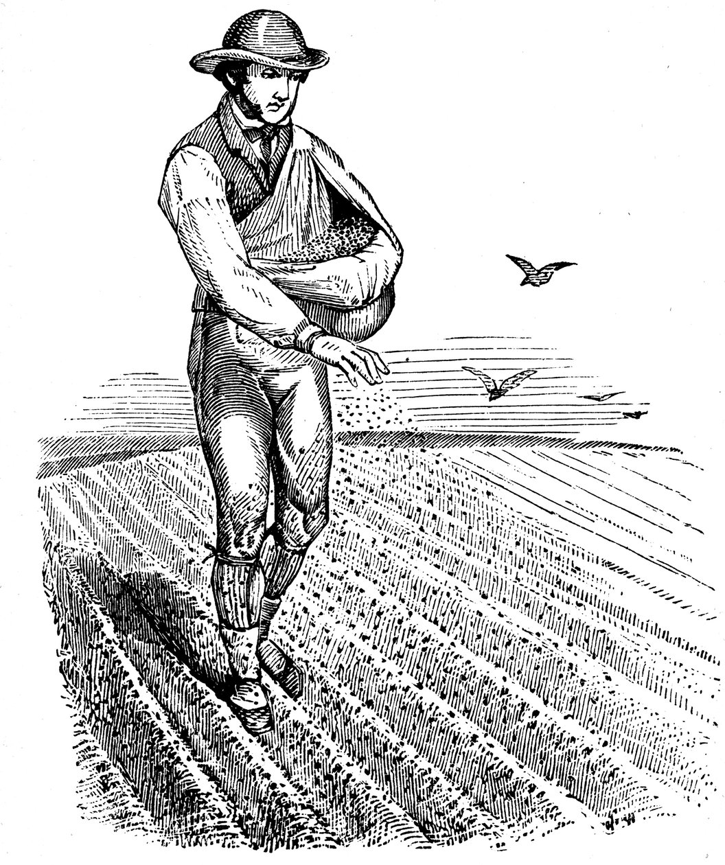 Vetésforgó: vetőmag-adás, 1855 alkotó: Unbekannt