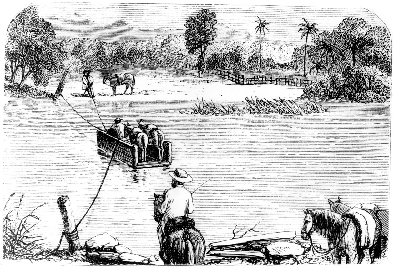 Átkelés az Izabellán, Santo Domingo, 1873 alkotó: Unbekannt