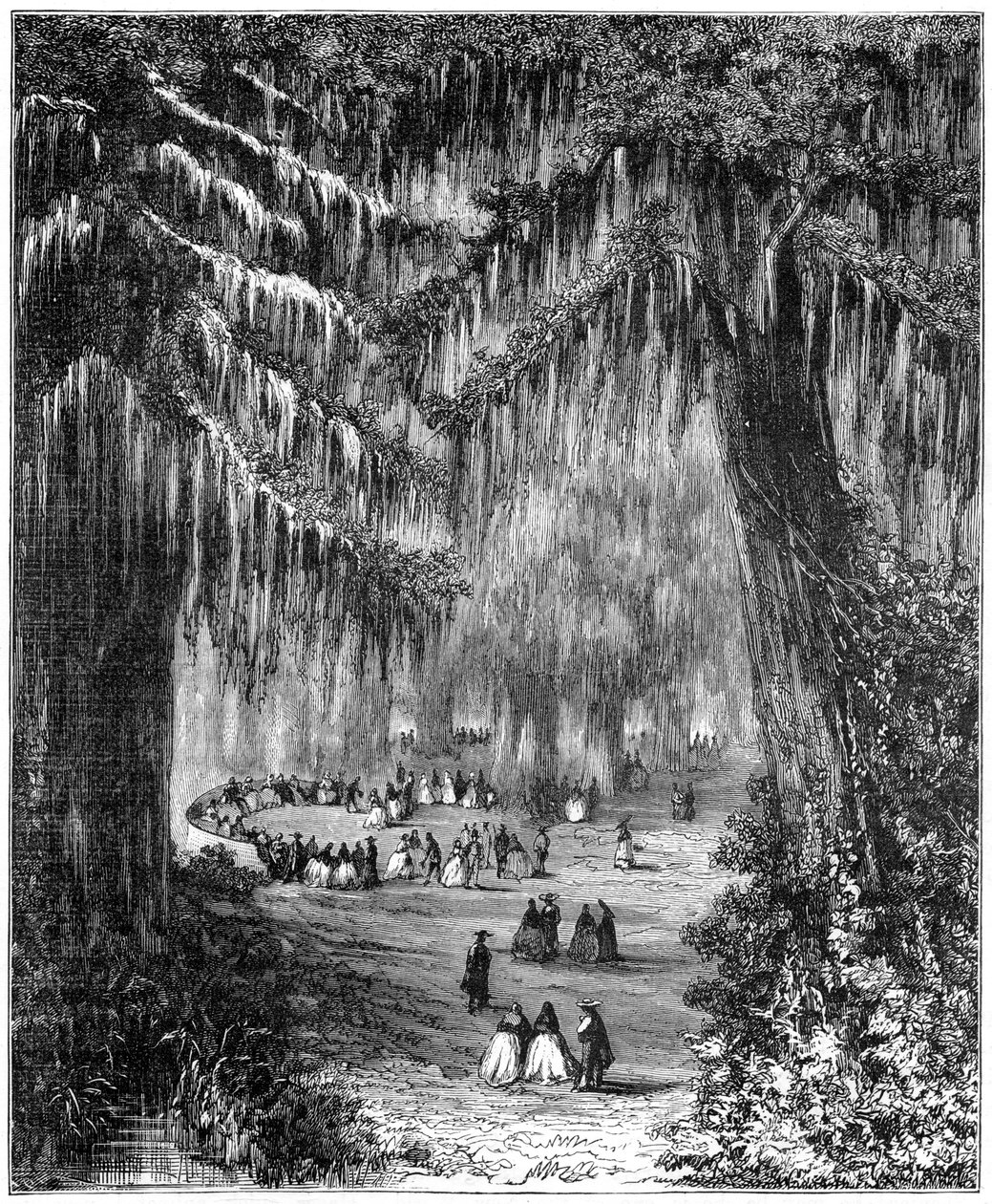 Ciprusliget Chapultepecben, Mexikóvárosban, 1877 alkotó: Unbekannt