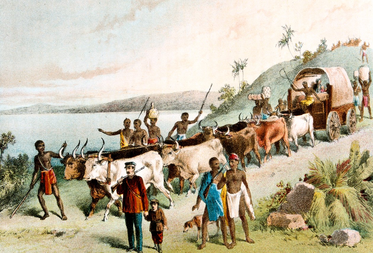 David Livingstone, skót misszionárius és afrikai felfedező, 1849 c1878 alkotó: Unbekannt
