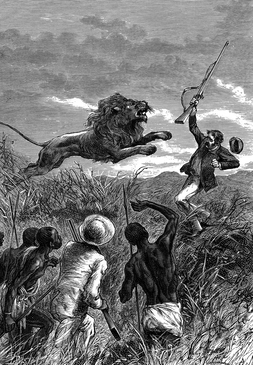 David Livingstone, skót misszionárius és afrikai felfedező, oroszlán megtámadása, 1860 alkotó: Unbekannt