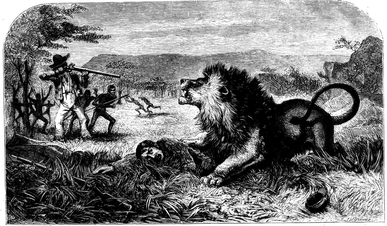 David Livingstone-t Mebalwe, egy bennszülött iskolamester mentette meg az oroszlántól, 1857 alkotó: Unbekannt